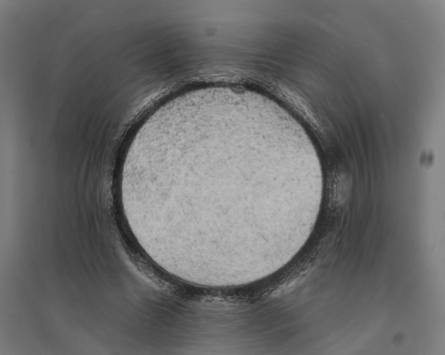 X0000095120538200712301802