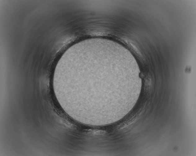 X0000095120539200712301802