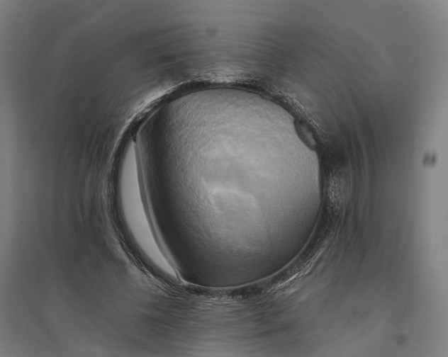 X0000095120540200712301802