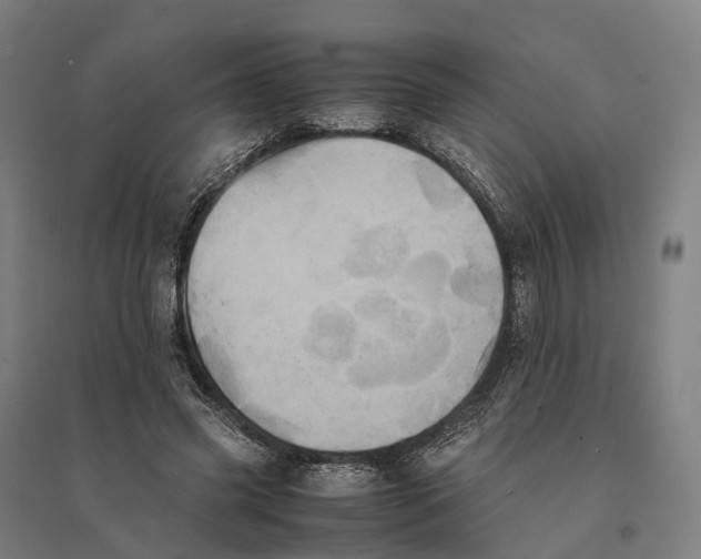 X0000095120541200712301802