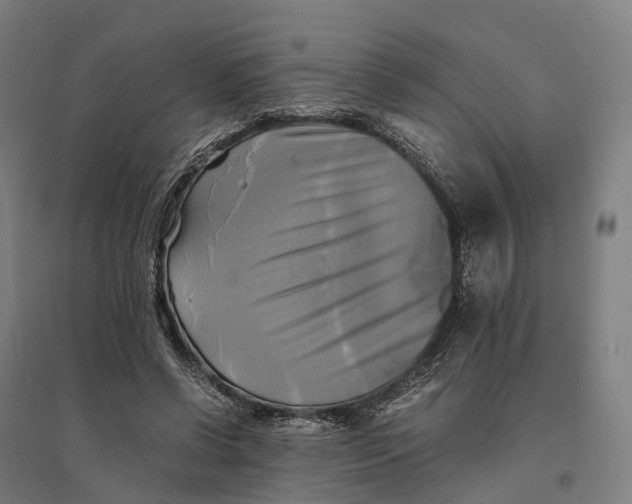 X0000095120542200712301802