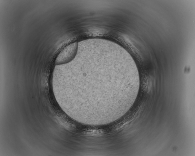 X0000095120543200712301802