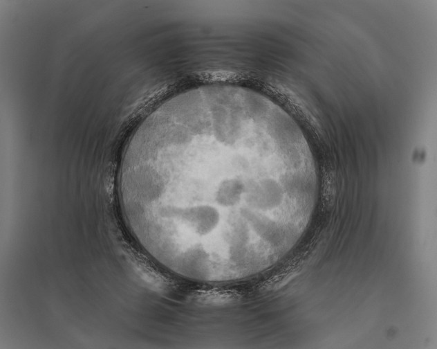 X0000095120545200712301802