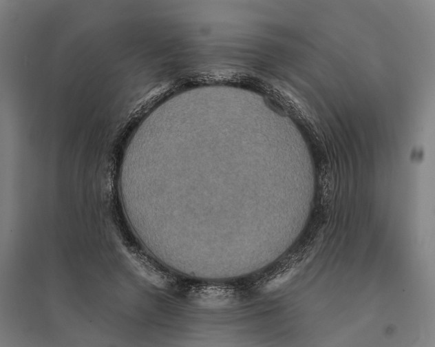 X0000095120546200712301802