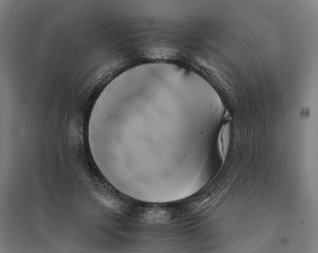 X0000095120547200712301803