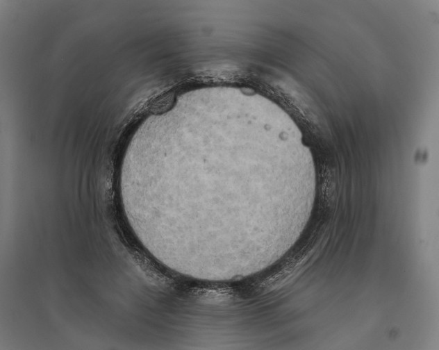 X0000095120548200712301803