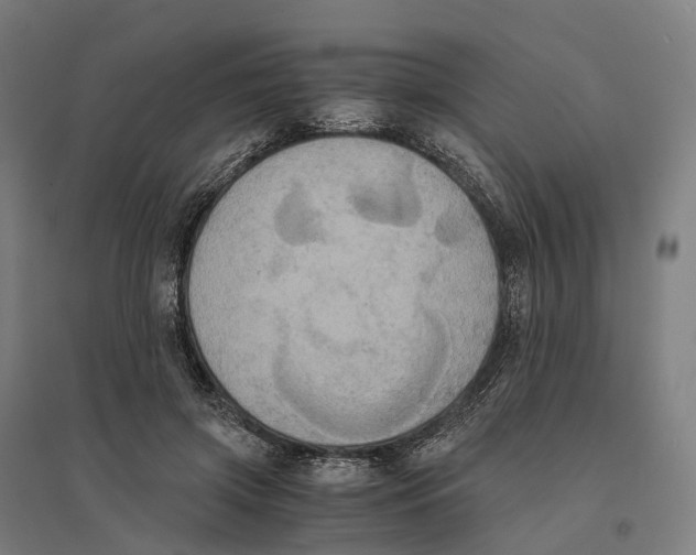 X0000095120549200712301803