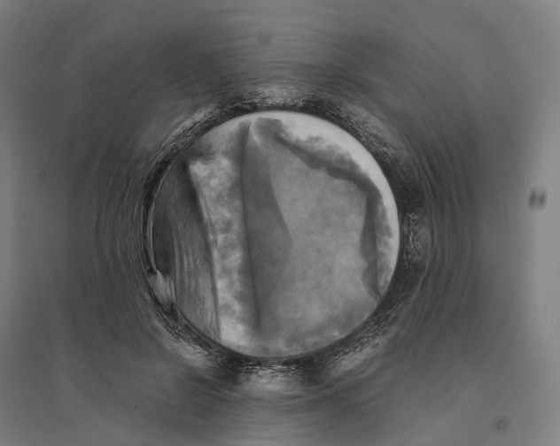 X0000095120550200712301803