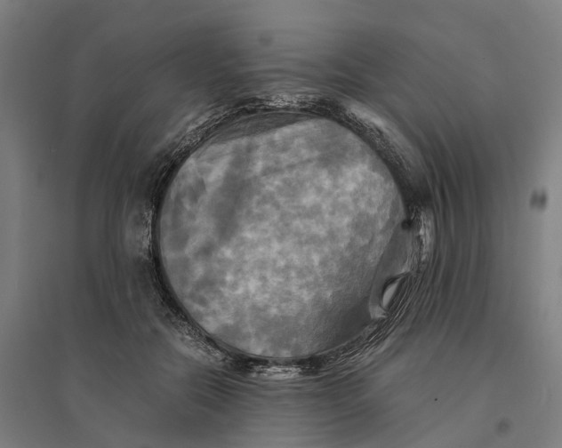 X0000095120554200712301803