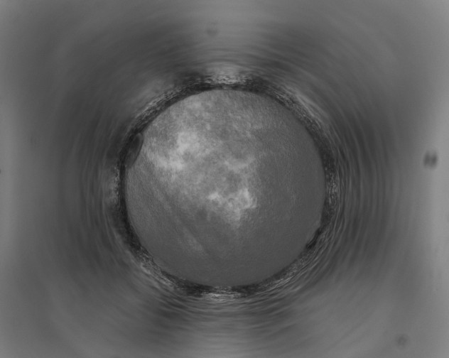 X0000095120556200712301803