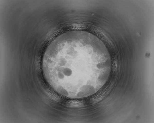 X0000095120557200712301803