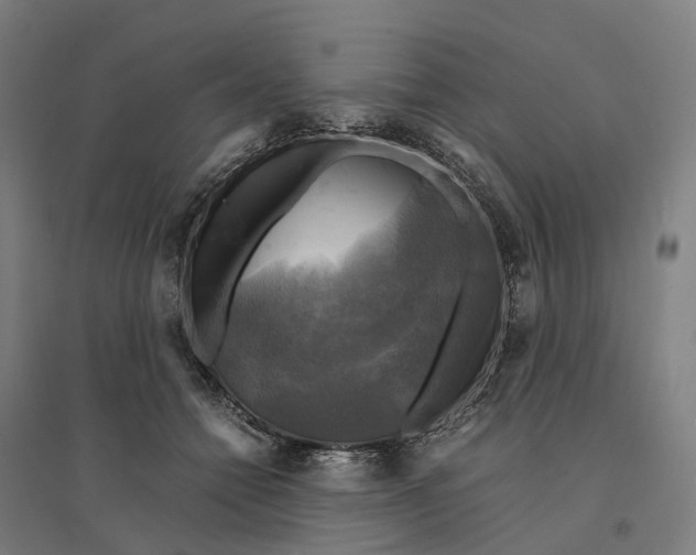 X0000095120558200712301803