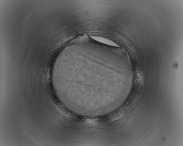 X0000095120560200712301803