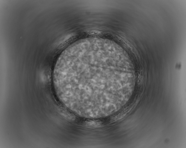 X0000095120561200712301803