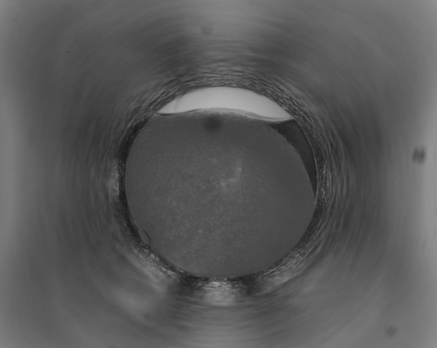 X0000095120562200712301803