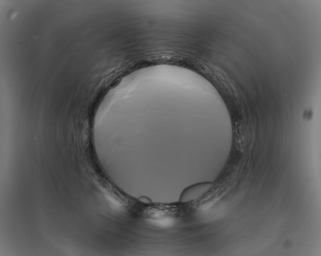 X0000095120563200712301803