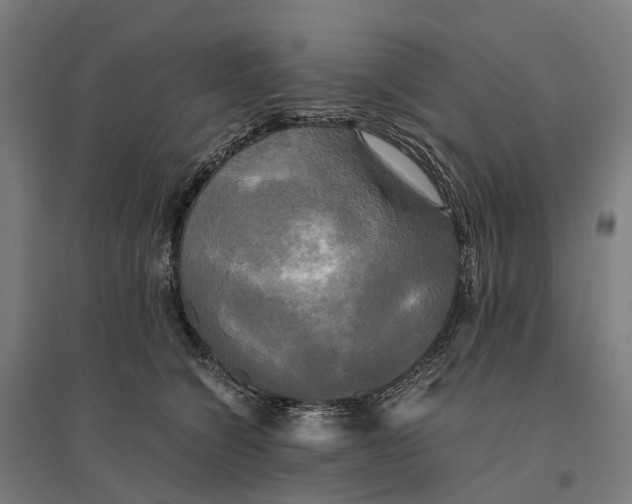 X0000095120564200712301803