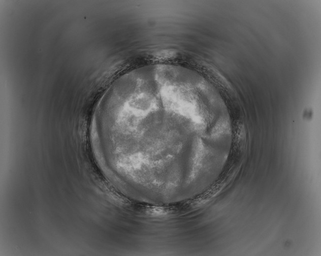 X0000095120565200712301803