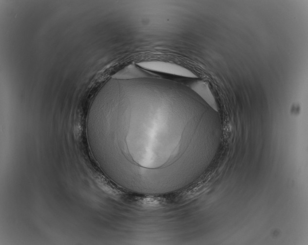 X0000095120566200712301803