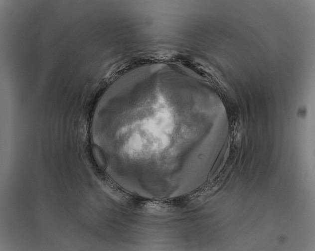 X0000095120568200712301803