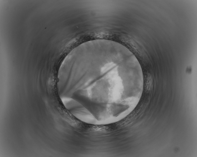 X0000095120569200712301803