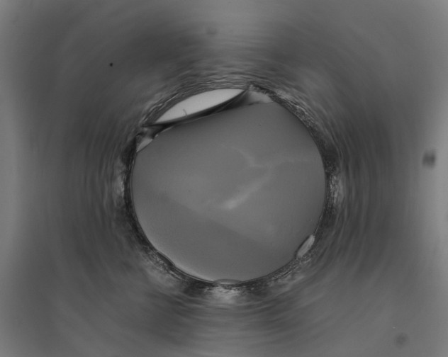 X0000095120570200712301803