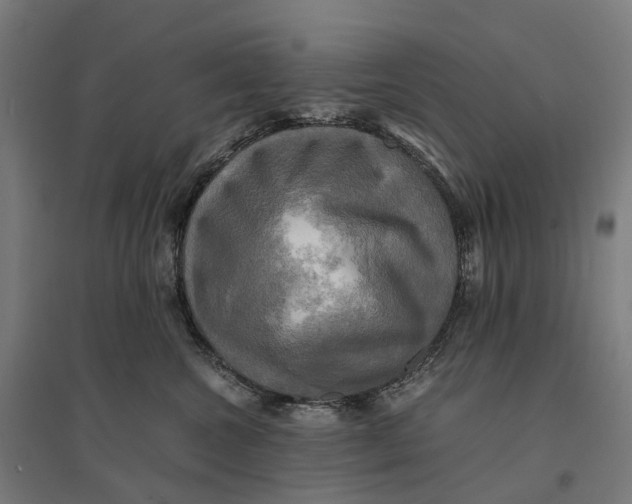 X0000095120572200712301803