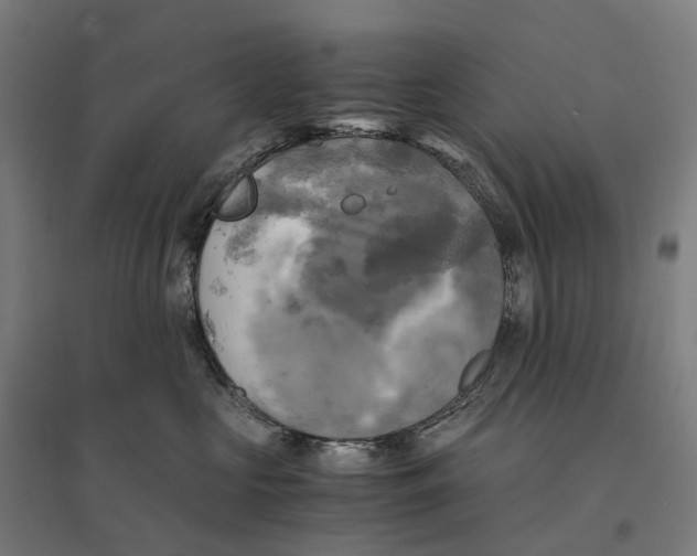 X0000095120573200712301803