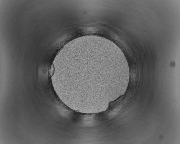 X0000095120574200712301803