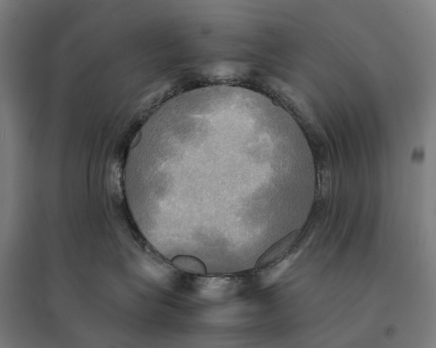 X0000095120575200712301803