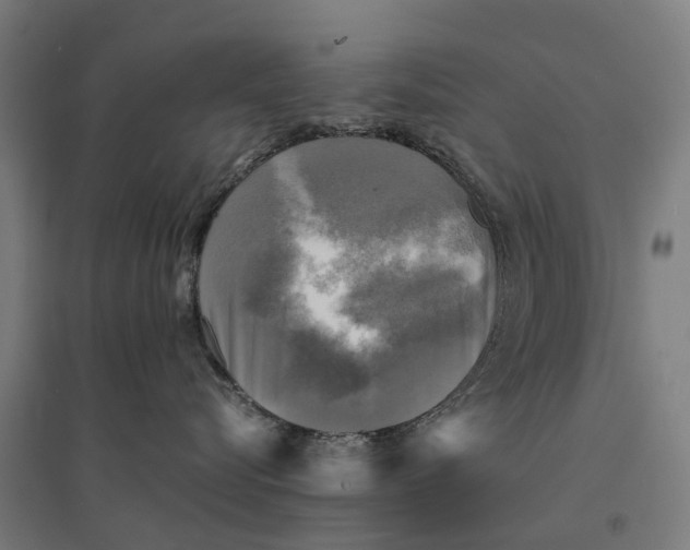 X0000095120576200712301803