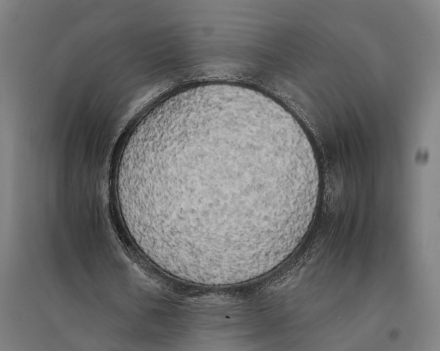 X0000095120578200712301802