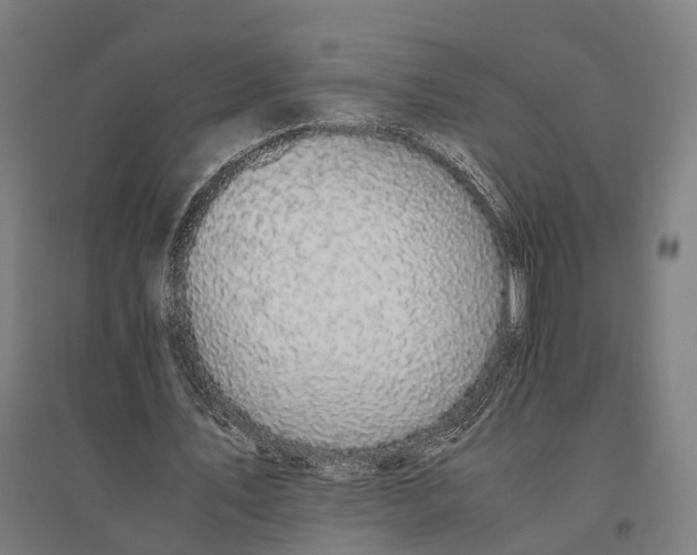 X0000095120579200712301802