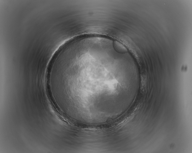 X0000095120580200712301802