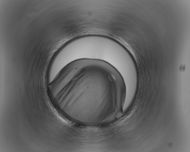 X0000095120581200712301802