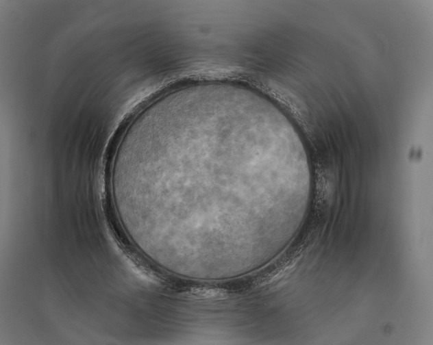 X0000095120582200712301802