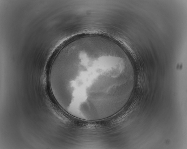 X0000095120584200712301802