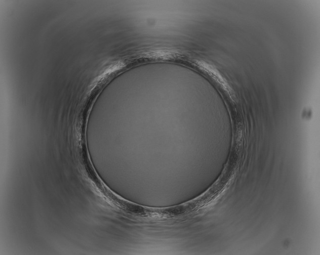 X0000095120585200712301802