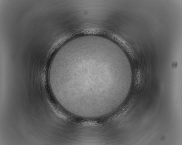 X0000095120586200712301802