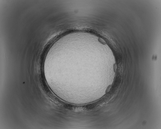 X0000095120587200712301802