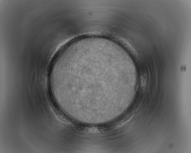 X0000095120588200712301802