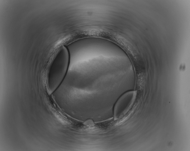 X0000095120589200712301802