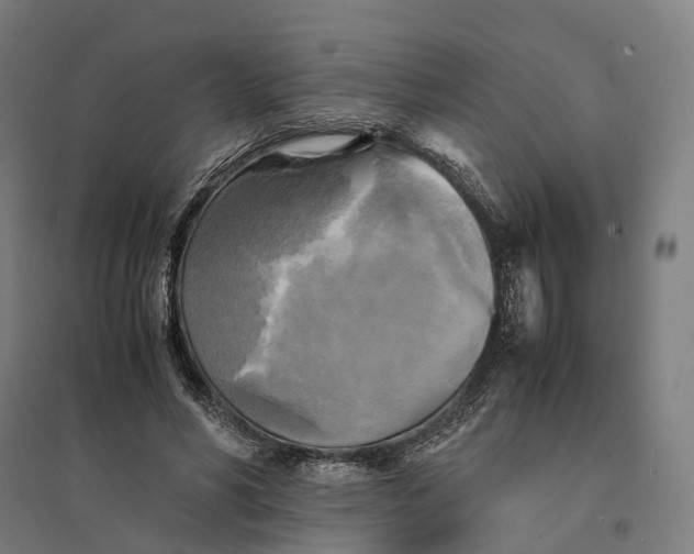 X0000095120590200712301802