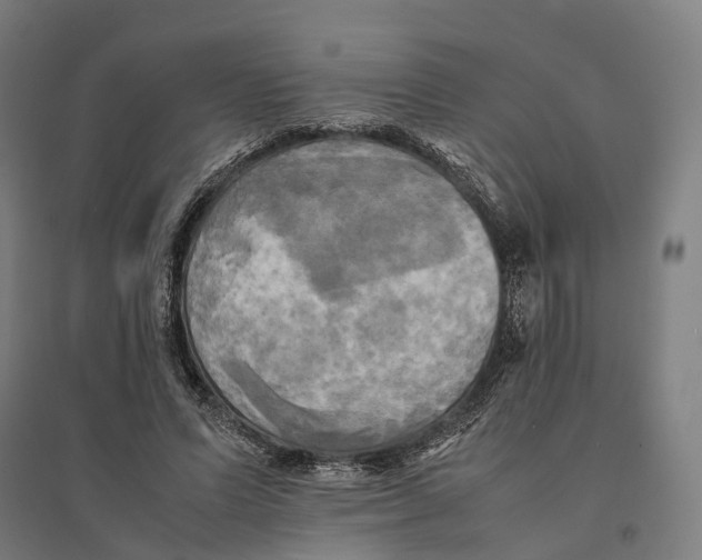 X0000095120591200712301802