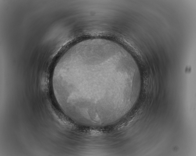 X0000095120592200712301802