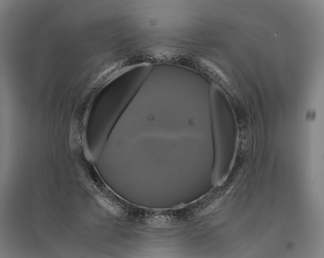 X0000095120593200712301802