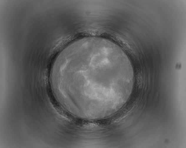 X0000095120594200712301802