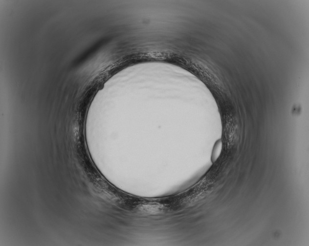 X0000095120595200712301802