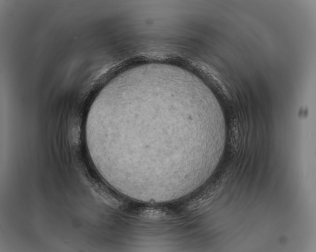 X0000095120596200712301802