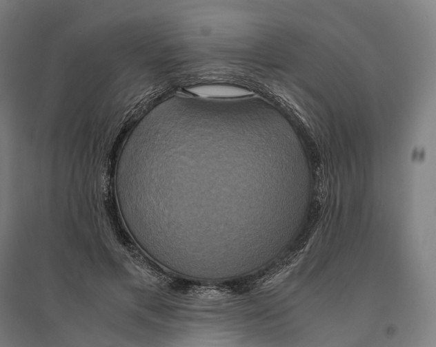 X0000095120597200712301802